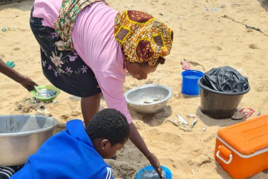 Ghana — Strengthening Sustainable Fisheries Management