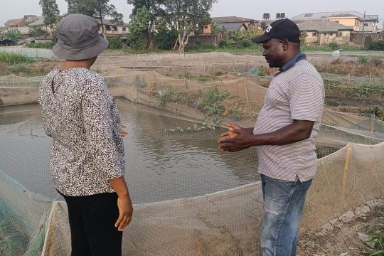 Nigeria — Improving Sustainable Aquaculture
